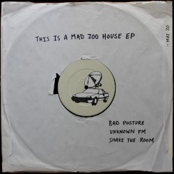 This Is a Mad Zoo House EP