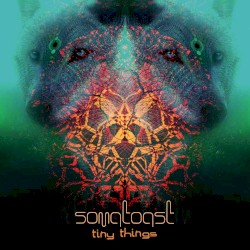 Tiny Things (DRRTYWULVZ Remix)