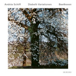Diabelli-Variationen