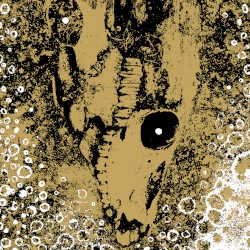 Our Circle Is Vicious