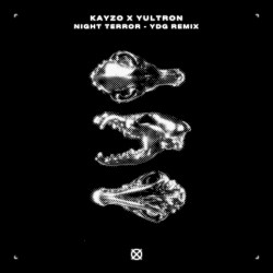 Night Terror (YDG remix)