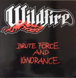 Brute Force and Ignorance