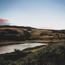 Reggae Is The Foundation