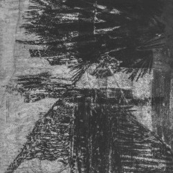 퍼블릭도메인포미