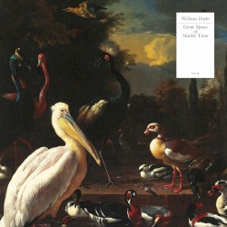 Great Spans of Muddy Time