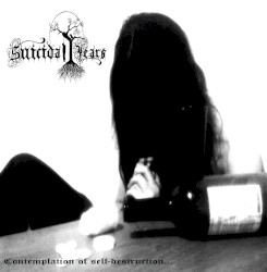 Contemplation of Self-Destruction