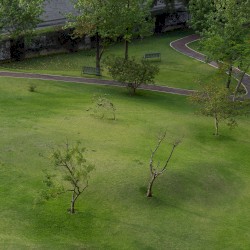 Pies sobre la tierra
