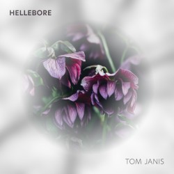 Hellebore