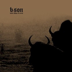 b.son (Black Shape of Nexus)