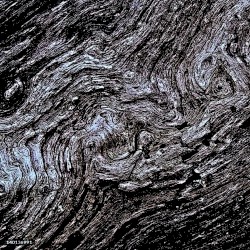 This World Is Only Going to Break Your Heart