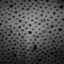 TestToneMusic live archive vol.1 sandmachine