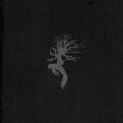 Thunder May Have Ruined the Moment