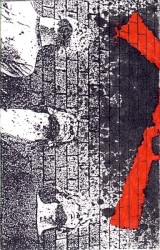 Dedicated to a New Dawn