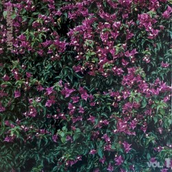 Sanctuary, Vol. 1: 78violet (The Unreleased Record)