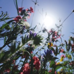 [ B O L T ] + Aidan Baker