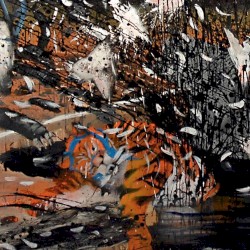 Champions of Unrestricted Beauty