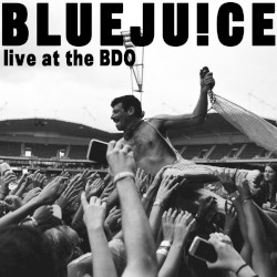 Live At The Big Day Out 2014