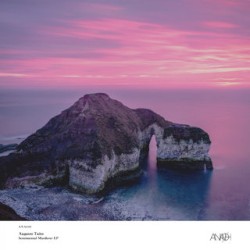 Sentimental Murderer EP