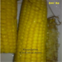 Manipulation of Individual Atoms