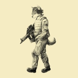 WWW