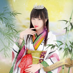 輝夜に願いを