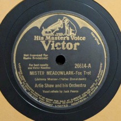 Mister Meadowlark / My Fantasy