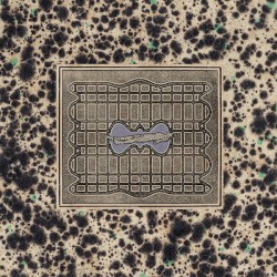 Verwandlung im Schlaf