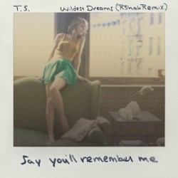 Wildest Dreams (R3hab remix)