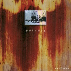 雨降りの向日葵