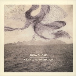 A Small Murmuration