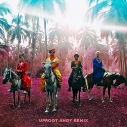 Playa Grande (Uproot Andy remix)