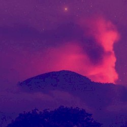 The Flesh, Full of Black Sand / Hana Haruna