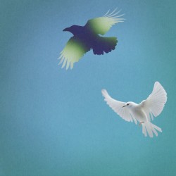 Shallow Water (club mix)