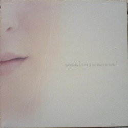 The Beauty Of Silence