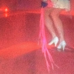 Cherry-coloured Funk