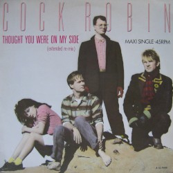 Thought You Were On My Side