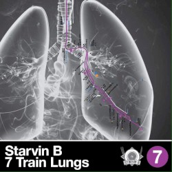 7 Train Lungs