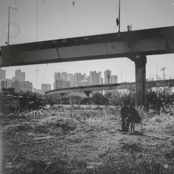 The Era of Company Man