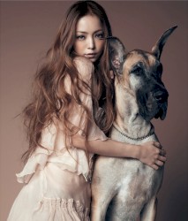 Love Story (Xmas Music Box Ver.)