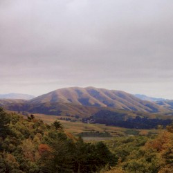 Mount Wittenberg Orca