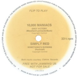 Grey Victory / Something's Burning