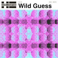 Wild Guess