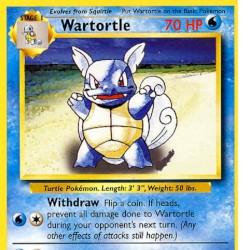 Wartortle St. Augustine