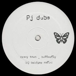 Butterfly (Pj Bridger refix)