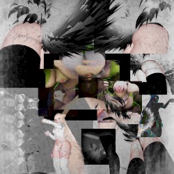 Brokenforms V: Textureexperts