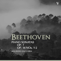Piano Sonatas, op. 7 / op. 14 nos. 1-2