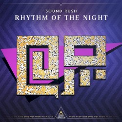 Rhythm of the Night