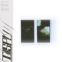 Austerity / White Lion