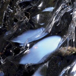 ᴅɪᴍᴇɴsɪᴏɴᴀʟ ᴅᴇsᴄᴇɴᴛ