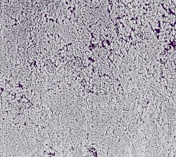 Multifactorial Dynamic Pathways